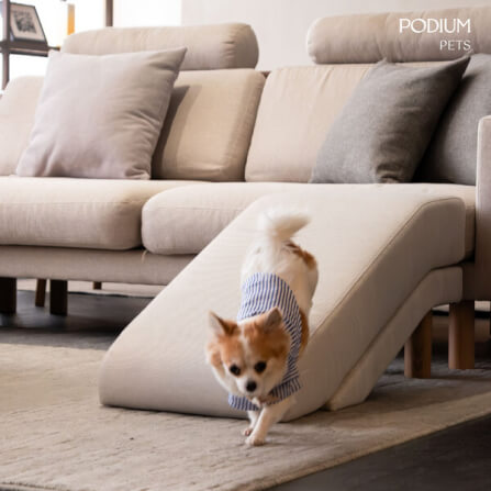 ทางลาดสำหรับสัตว์เลี้ยง PODIUM PETS รุ่น RAMS RAMP สีเทา_6